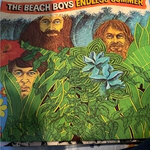 Beach boys endless summer